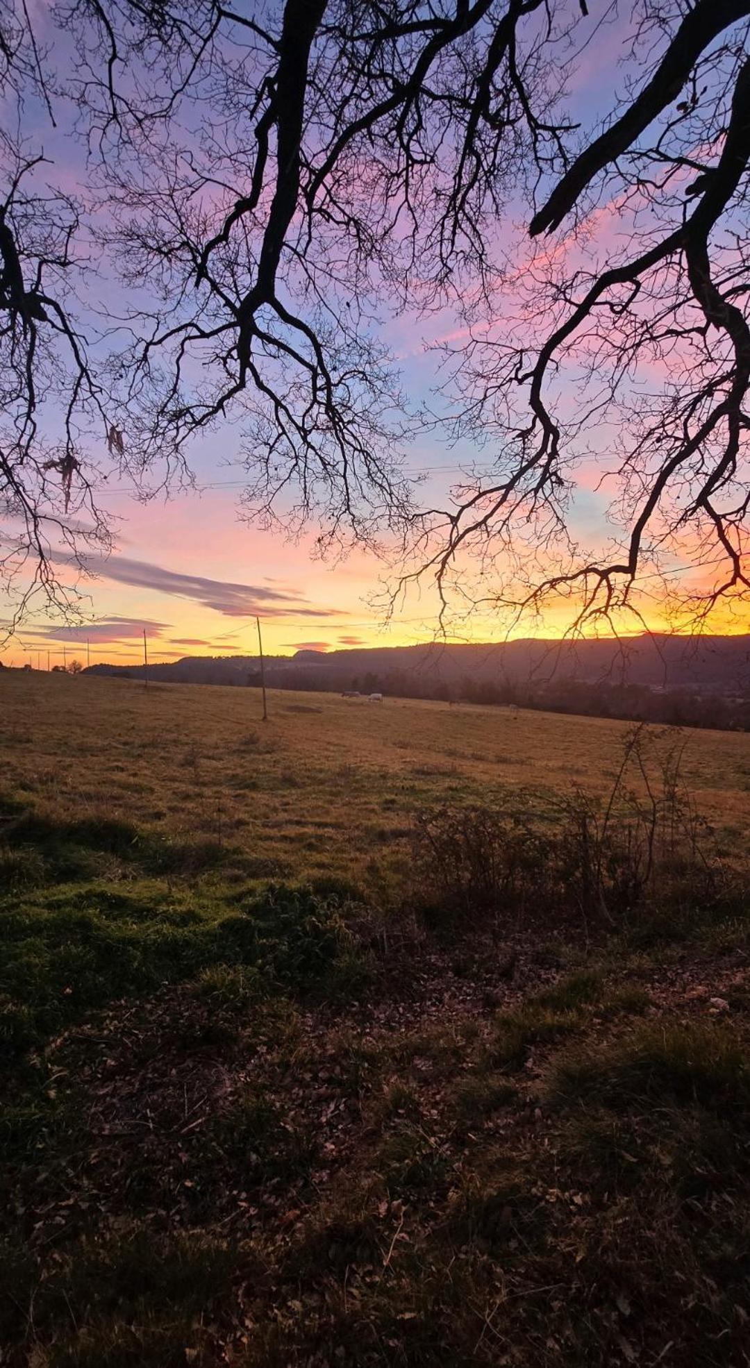 Complex Rural Can Caubet ベルガ エクステリア 写真